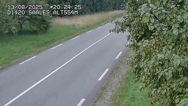 Webcam au niveau du col de Saales, à la limite entre le département des Vosges et celui du Bas-Rhin