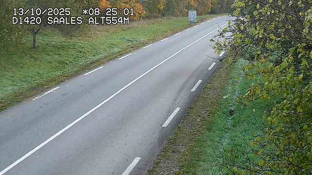 Webcam au niveau du col de Saales, à la limite entre le département des Vosges et celui du Bas-Rhin