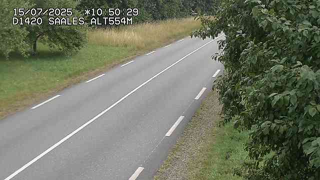 Webcam au niveau du col de Saales, à la limite entre le département des Vosges et celui du Bas-Rhin