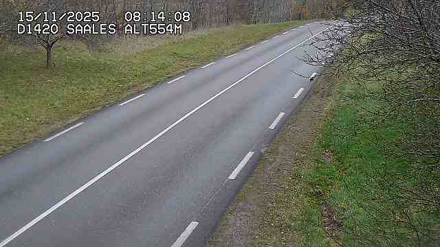 <h2>Webcam au niveau du col de Saales, à la limite entre le département des Vosges et celui du Bas-Rhin</h2>