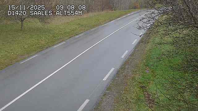 <h2>Webcam au niveau du col de Saales, à la limite entre le département des Vosges et celui du Bas-Rhin</h2>