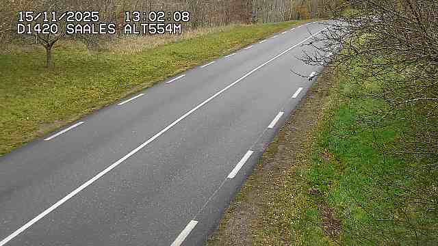 Webcam au niveau du col de Saales, à la limite entre le département des Vosges et celui du Bas-Rhin