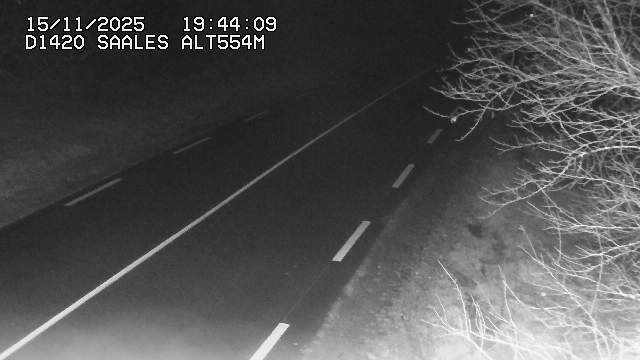 Webcam au niveau du col de Saales, à la limite entre le département des Vosges et celui du Bas-Rhin