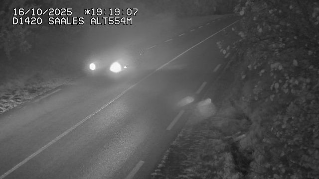Webcam au niveau du col de Saales, à la limite entre le département des Vosges et celui du Bas-Rhin