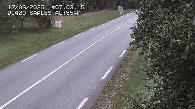 Webcam au niveau du col de Saales, à la limite entre le département des Vosges et celui du Bas-Rhin