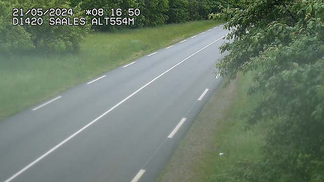 Webcam au niveau du col de Saales, à la limite entre le département des Vosges et celui du Bas-Rhin