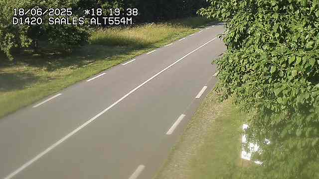 Webcam au niveau du col de Saales, à la limite entre le département des Vosges et celui du Bas-Rhin