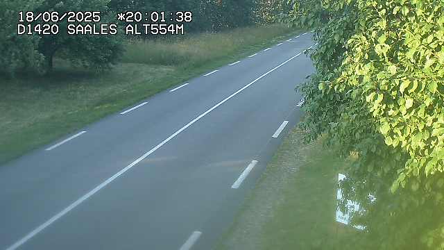Webcam au niveau du col de Saales, à la limite entre le département des Vosges et celui du Bas-Rhin