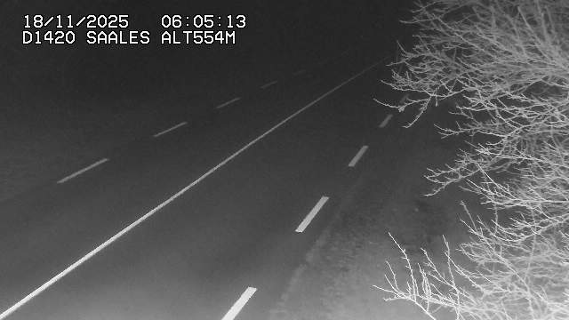 Webcam au niveau du col de Saales, à la limite entre le département des Vosges et celui du Bas-Rhin