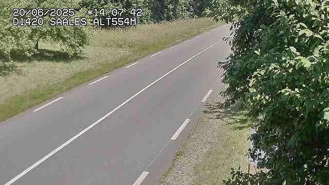 Webcam au niveau du col de Saales, à la limite entre le département des Vosges et celui du Bas-Rhin