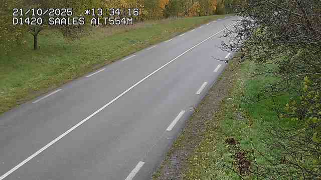 <h2>Webcam au niveau du col de Saales, à la limite entre le département des Vosges et celui du Bas-Rhin</h2>
