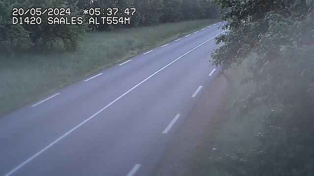 <h2>Webcam au niveau du col de Saales, à la limite entre le département des Vosges et celui du Bas-Rhin</h2>