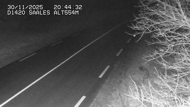 Webcam au niveau du col de Saales, à la limite entre le département des Vosges et celui du Bas-Rhin