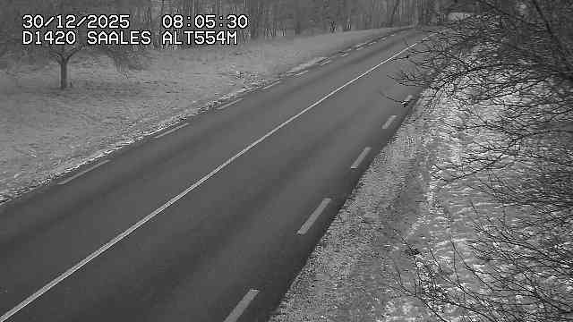 Webcam au niveau du col de Saales, à la limite entre le département des Vosges et celui du Bas-Rhin