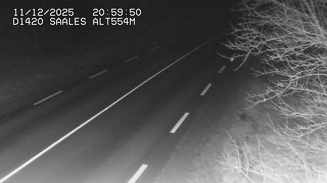 <h2>Webcam au niveau du col de Saales, à la limite entre le département des Vosges et celui du Bas-Rhin</h2>