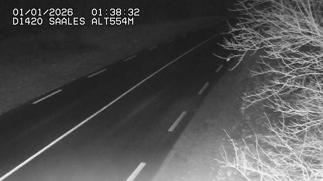 <h2>Webcam au niveau du col de Saales, à la limite entre le département des Vosges et celui du Bas-Rhin</h2>