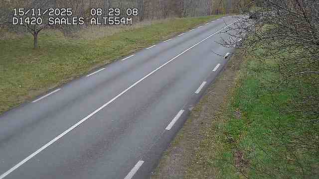 <h2>Webcam au niveau du col de Saales, à la limite entre le département des Vosges et celui du Bas-Rhin</h2>