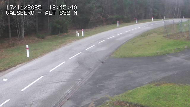 Webcam au col du Valsberg à Dabo, côté mosellan, à proximité de Wangenbourg-Engenthal
