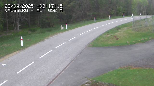 Webcam au col du Valsberg à Dabo, côté mosellan, à proximité de Wangenbourg-Engenthal