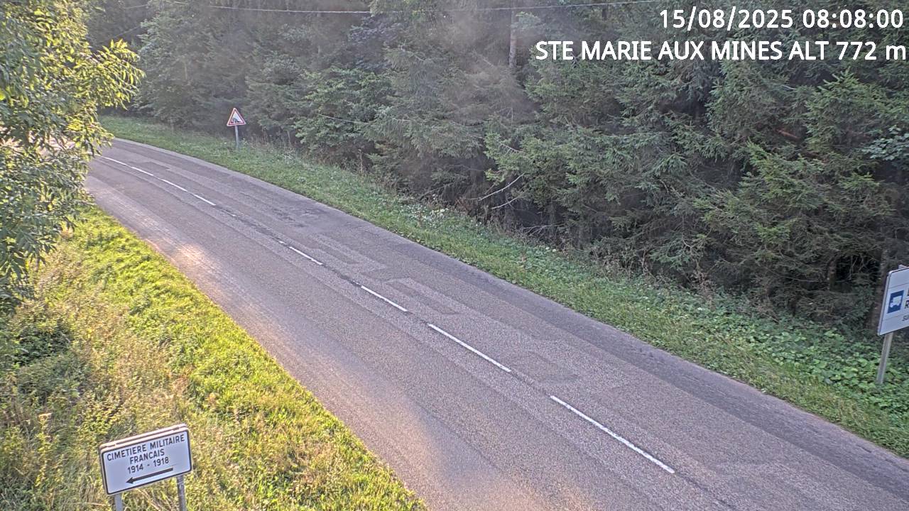 <h2>Webcam du col de Saint-Marie dans les Vosges à Saint-Marie-aux-Mines. Vue orientée vers l'Alsace</h2>