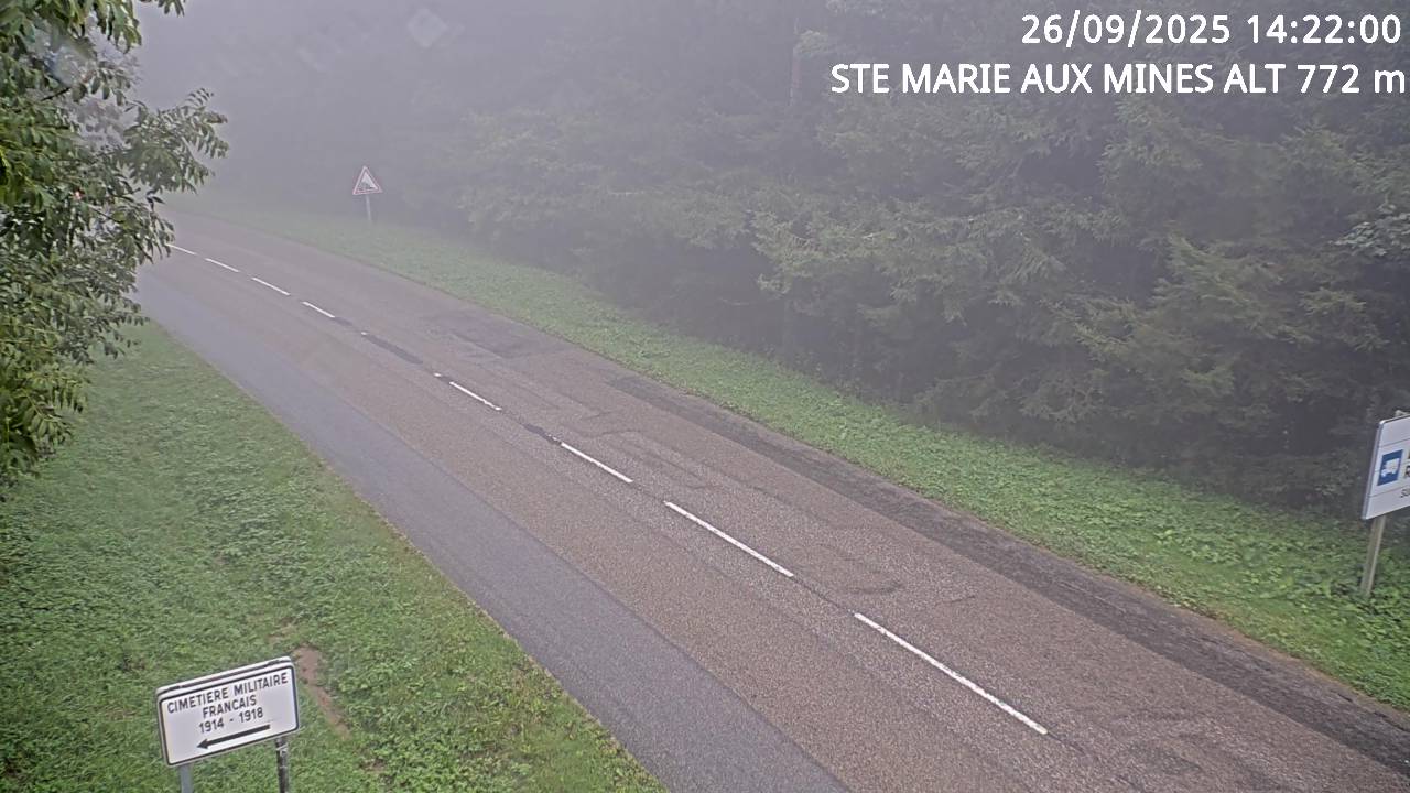 <h2>Webcam du col de Saint-Marie dans les Vosges à Saint-Marie-aux-Mines. Vue orientée vers l'Alsace</h2>