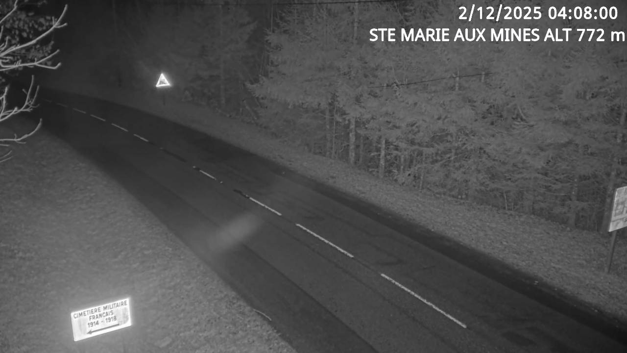 <h2>Webcam du col de Saint-Marie dans les Vosges à Saint-Marie-aux-Mines. Vue orientée vers l'Alsace</h2>