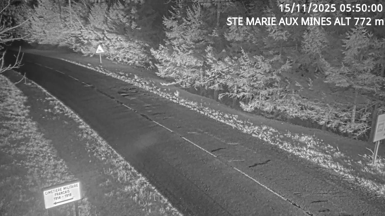 <h2>Webcam du col de Saint-Marie dans les Vosges à Saint-Marie-aux-Mines. Vue orientée vers l'Alsace</h2>